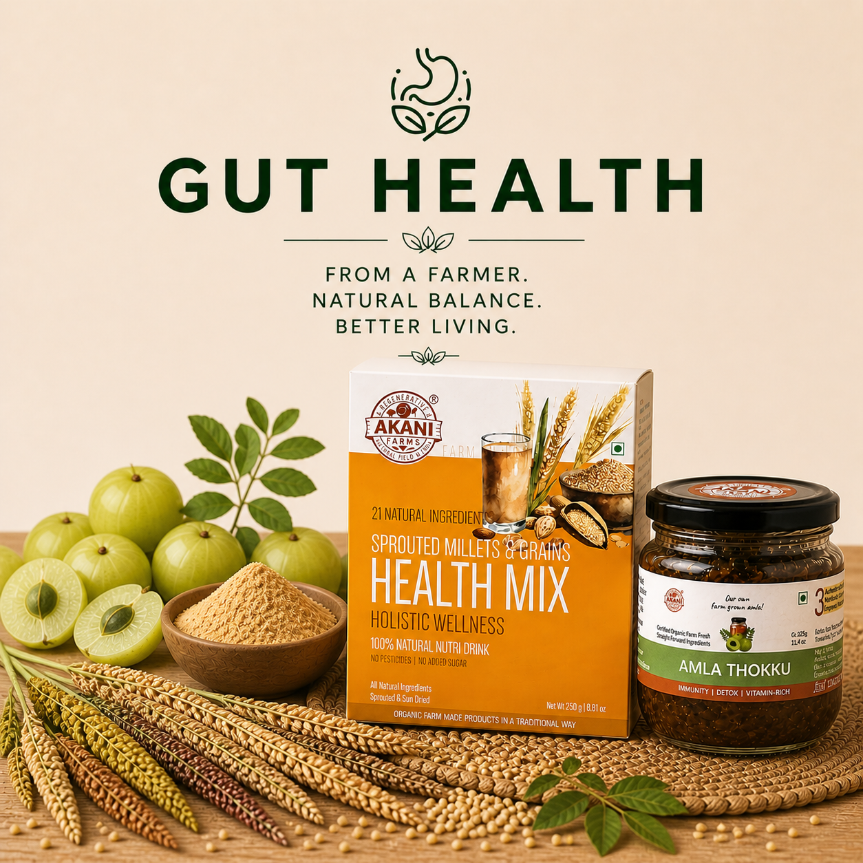GUT HEALTH FOODS