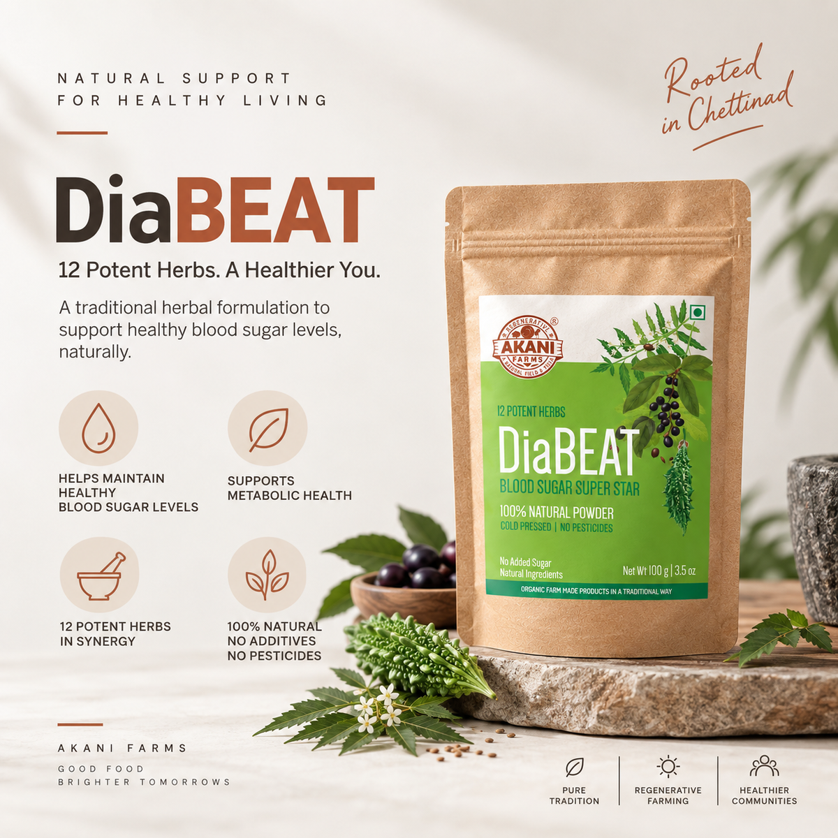 DiaBEAT Powder 100g