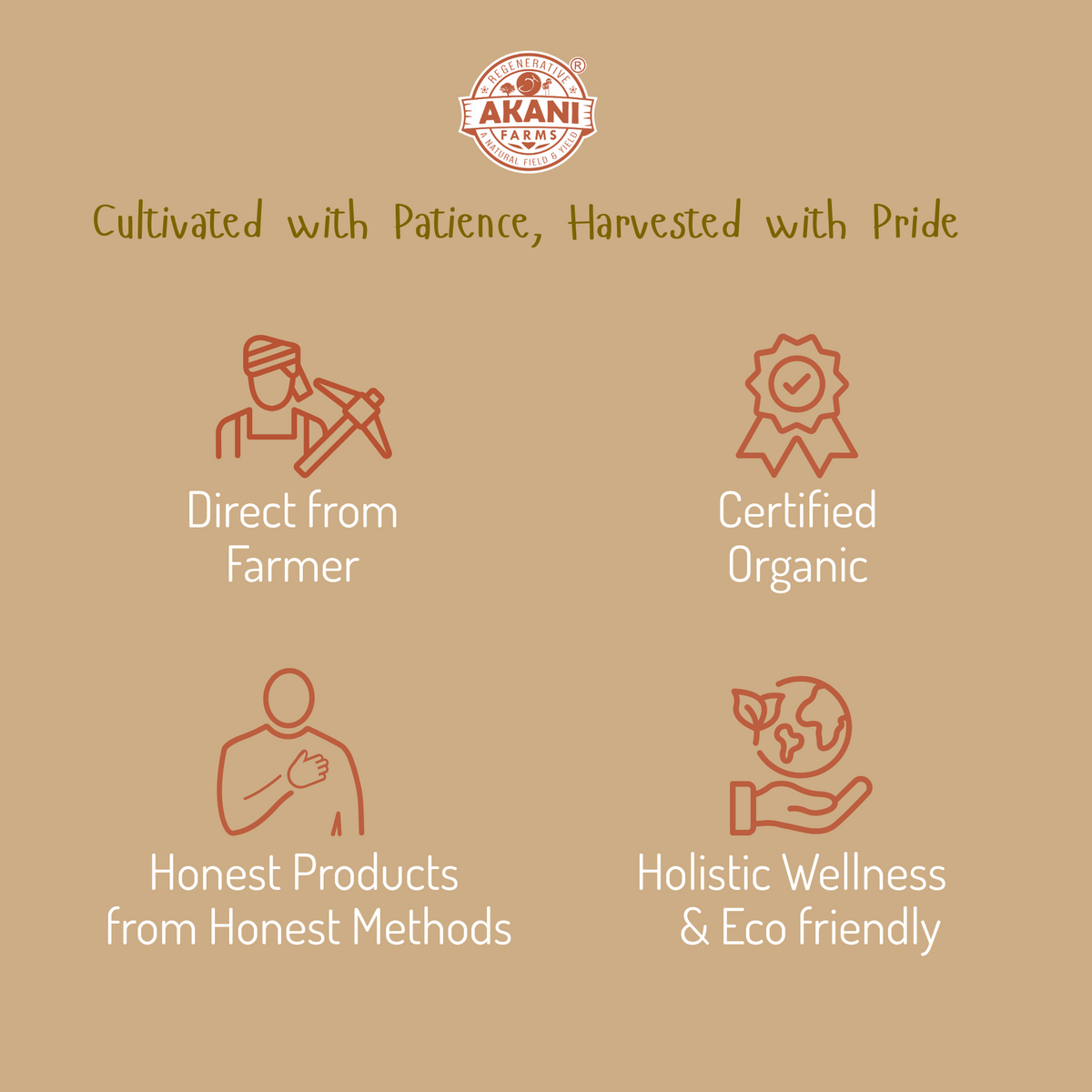 Groundnut Oil - Cold-pressed