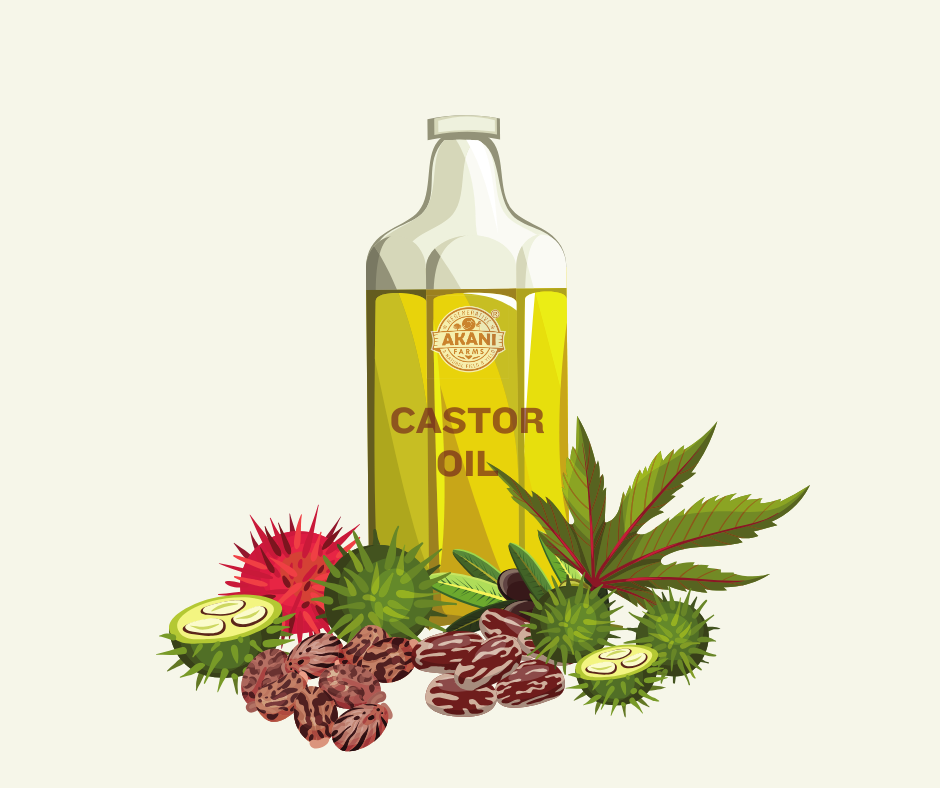 Castor Oil | Single Origin Cold-Pressed | Pure Organic Hair & Skin Care