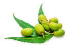 Farm Grown Cold Pressed Neem Oil