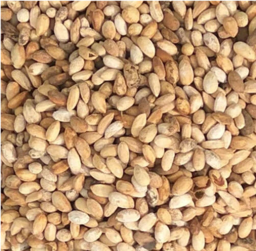 Farm Grown Cold Pressed Neem Oil